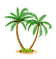 two coconut palm trees with grass vector image