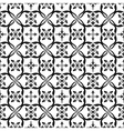 black lace network vector image