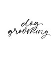 dog grooming phrase handwritten with a brush vector image