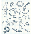 dogs set vector image