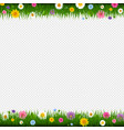grass and flowers border transparent background vector image vector image