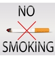 Designated smoking area with cigarette icon Vector Image