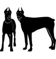 silhouette of dog dobermann isolated vector image vector image