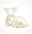hand drawn cute easter lamb vector image
