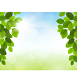 spring vector image