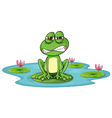 a frog and water vector image
