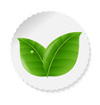 nature label with leaves vector image vector image