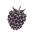 silhouette blackberry or raspberry fruit vector image vector image
