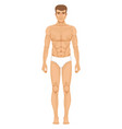 man body icon male figure in underwear front view vector image