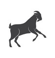 goat symbol icon sign vector image vector image