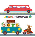 set of isolated transports with animals part 5 vector image