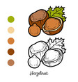 coloring book hazelnut vector image