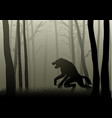 werewolf in the dark woods vector image vector image