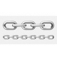 realistic metal chain with silver links vector image
