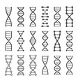 dna spiral icon human genetics code genom model vector image