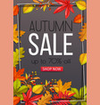 seasonal autumn banner vector image vector image