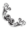 vintage baroque frame engraving scroll ornament vector image