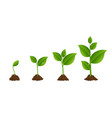 green sprout set isolated white background vector image vector image