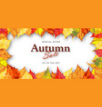 autumn sale banner vector image
