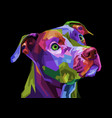 colorful pitbull terrier dog on pop art geometric vector image vector image