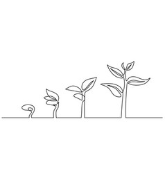 Continuous line drawing step tree growth Vector Image