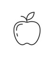 apple outline icon on white background vector image