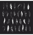 set of different hand drawn feathers vector image vector image