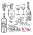 sketch wine elements - bottles glasses vector image vector image