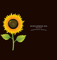 banner for refined sunflower oil with inscription vector image