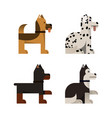 dogs stand and sit vector image