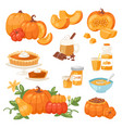 pumpkin food soup cake pie meals organic vector image