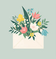 bouquet spring flowers inside envelope vector image