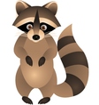 raccoon cartoon vector image