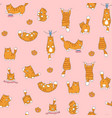 cats seamless pattern cartoon cat background vector image
