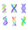 colorful dna spirals bright vector image