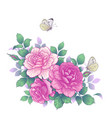hand drawn pink rose flowers and butterflies vector image