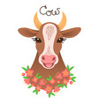 cute cow portrait calf character in cartoon style vector image vector image