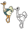 ostrich coloring book vector image vector image