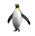 emperor penguin from a splash watercolor vector image