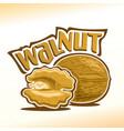 logo for walnut nuts vector image