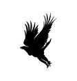 eagle logo design logo template vector image