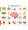 Healthy food and bad food for brains infographic Vector Image