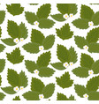 seamless pattern with cartoon strawberry leaves vector image