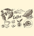 traditional filter coffee maker modern vintage vector image