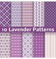 lavender different seamless patterns vector image