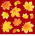 collection autumn leaves vector image vector image