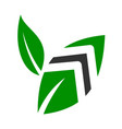 grow logo design template icon brand identity vector image vector image