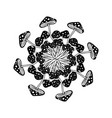 magic mushrooms mandala psychedelic hallucination vector image