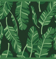 seamless pattern with palm leaves graphic vector image