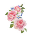 watercolor rose omposition vector image vector image
